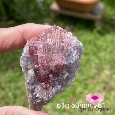 Pink And Green Tourmaline In Lepidolite Quartz Mica (Brazil) Collectors Aaa 61G 50Mm Raw Stones
