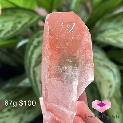 Pink Scarlet Lemurian Seed Point (Brazil) Aaa (Rare) Raw Stones