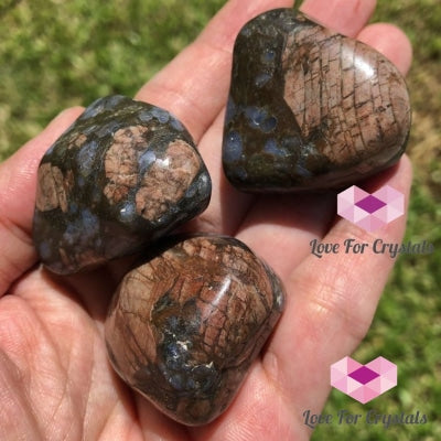 Que Sera (Llanite) Tumbled (Brazil) Stones