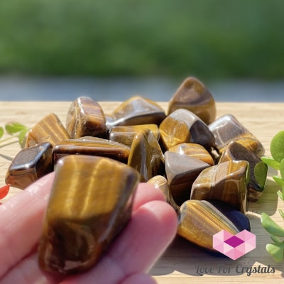 Tigers Eye Tumbled (South Africa) Stones