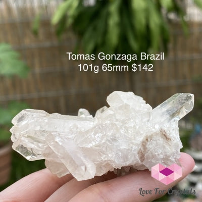 Tomas Gonzaga Clear Quartz Cluster (Brazil) 101G 65Mm Caves Geodes And Clusters