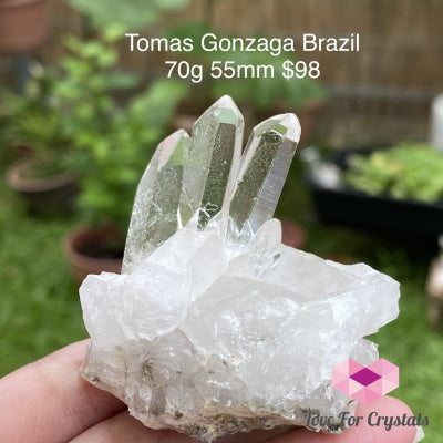 Tomas Gonzaga Clear Quartz Cluster (Brazil) 70G 55Mm Caves Geodes And Clusters