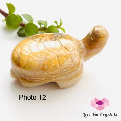 Turtles Hand Carved Photo 12 (Crazy Lace Agate)
