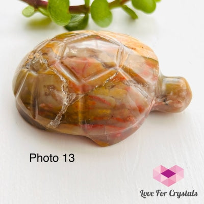Turtles Hand Carved Photo 13 (Crazy Lace Agate)