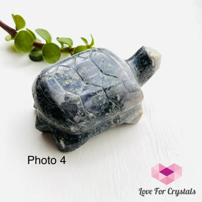 Turtles Hand Carved Photo 4 (Grape Agate)