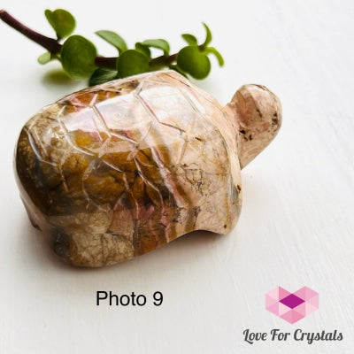 Turtles Hand Carved Photo 9 (Crazy Lace Agate)