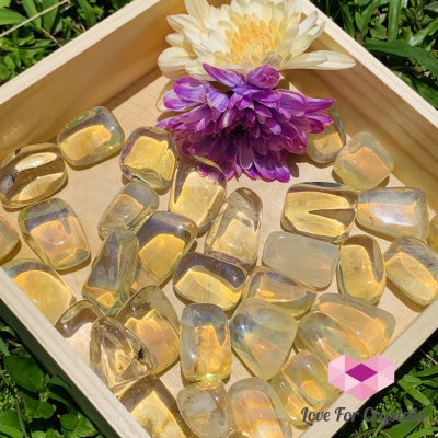 Yellow Obsidian Tumbled For Confidence Stones